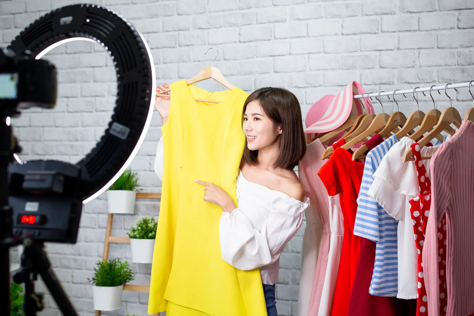 The Perfect Solution for fresh life